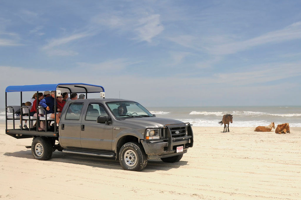 best wild horse tour outer banks