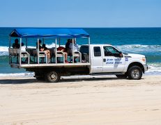 Bob's Corolla Wild Horse Tours photo