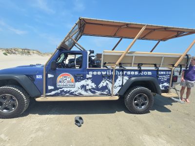 Bob's Corolla Wild Horse Tours photo