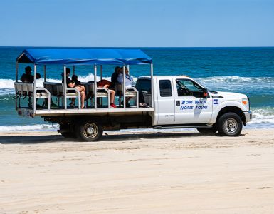 Bob's Corolla Wild Horse Tours photo