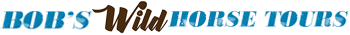 corollawildhorsetours.com logo